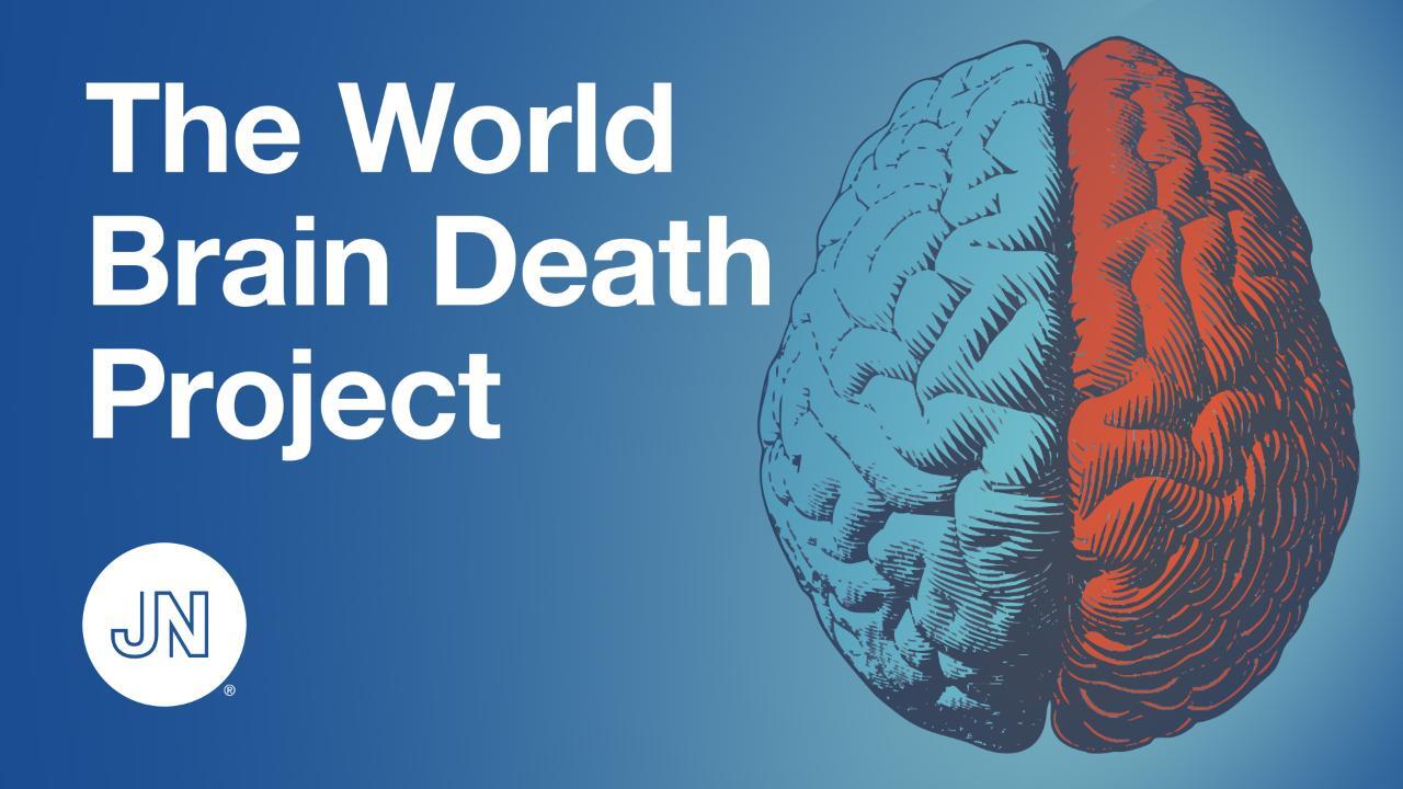 World brain. Смерть мозга.