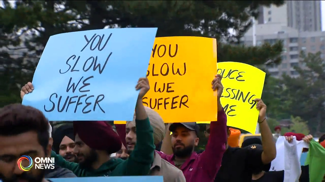 Rally in Brampton calls on better immigration process for international students