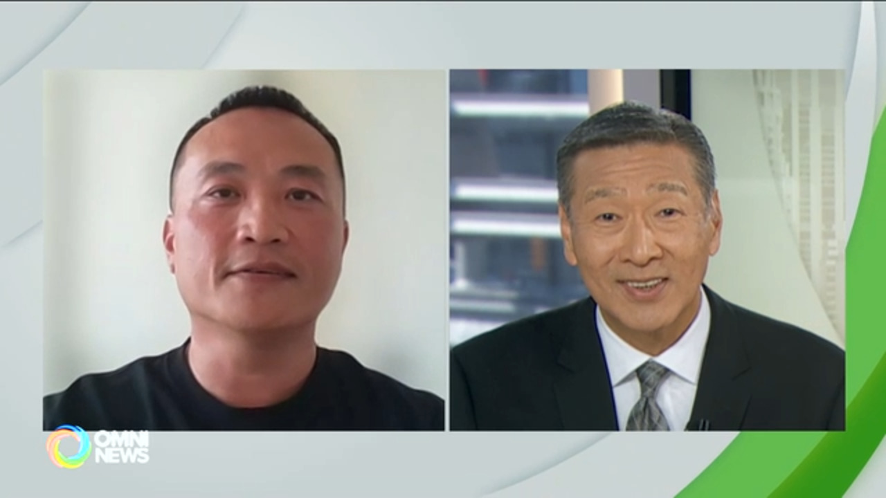 评论联邦自由党政府一系列争议