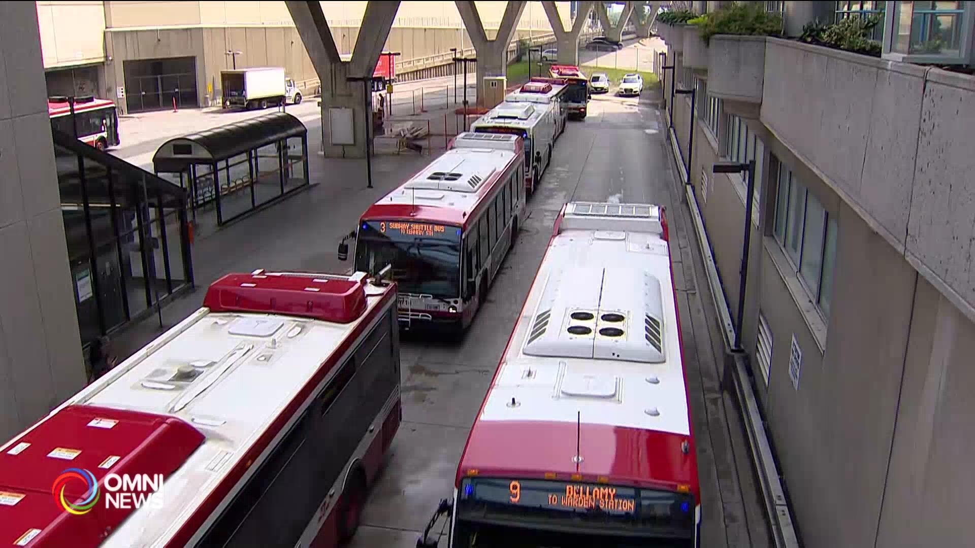 TTC全面增加服务