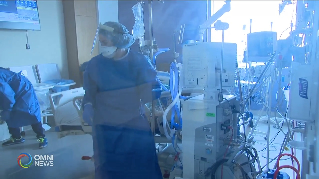 安省疫情继续反弹 － Aug 19, 2021 (ON)