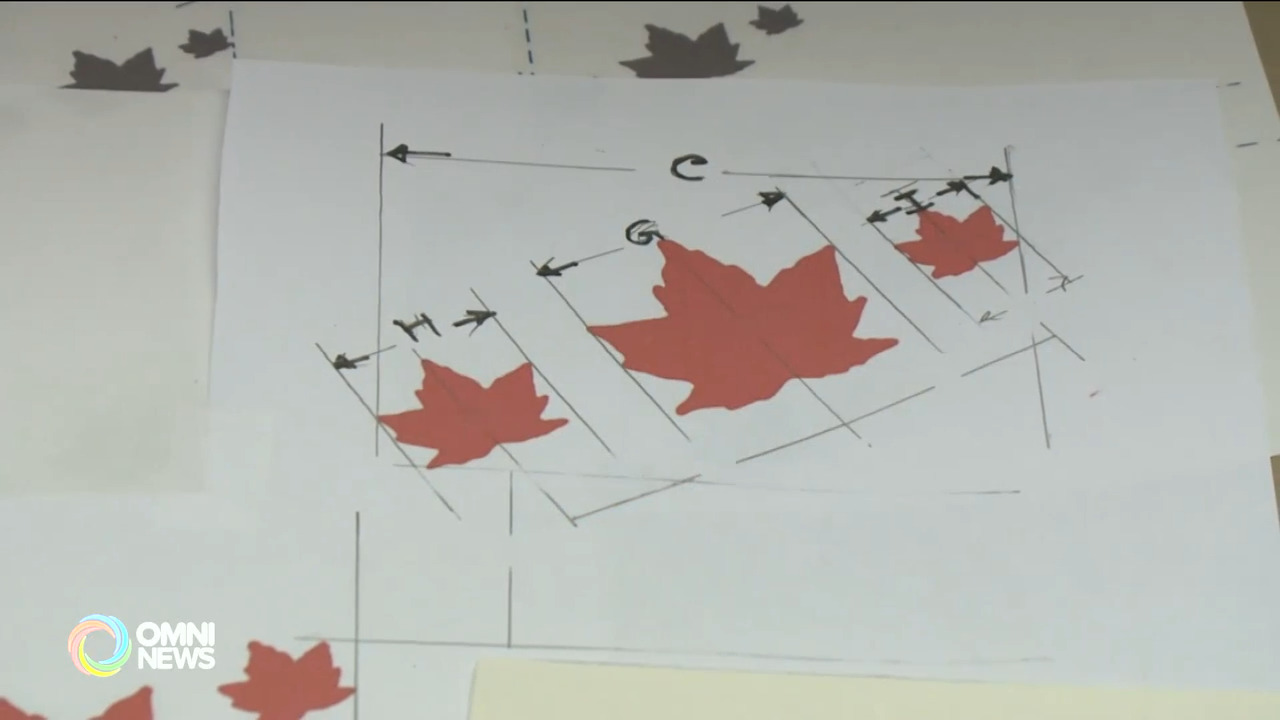 Maple Leaf Sari: an art project to celebrate Canada Day