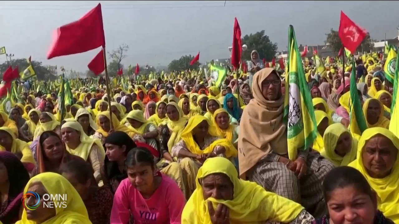 Young Canadian protesting in Delhi with Indian farmers