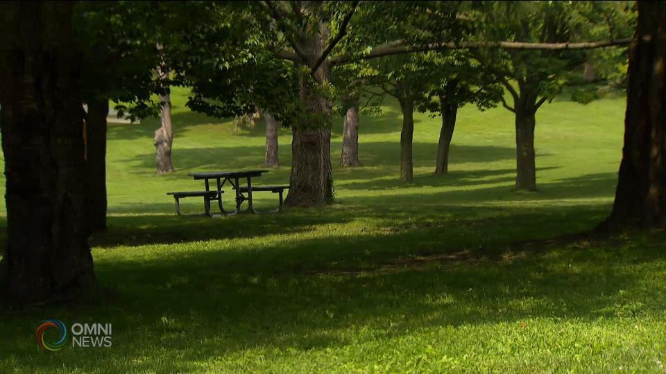 Pamilya at katrabaho ng researcher sa ICU, hiling ang dagdag proteksyon laban sa rare infection