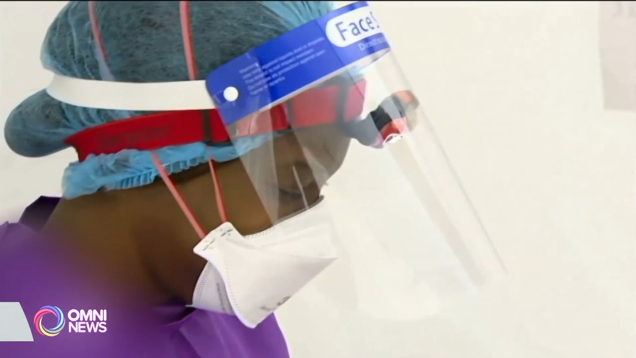 Libreng paglilinis ng ngipin sa Toronto ngayong 2024