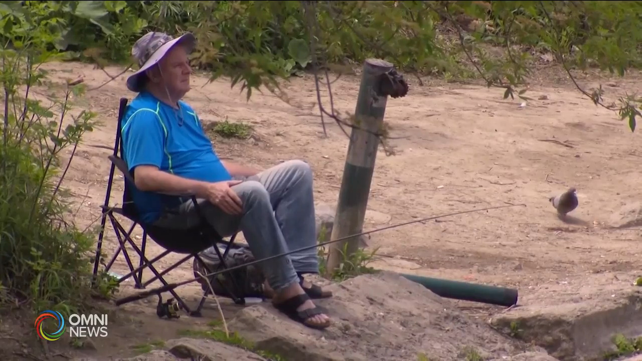 大多倫多有不少釣魚好地點 -- May 31, 2021 (ON)