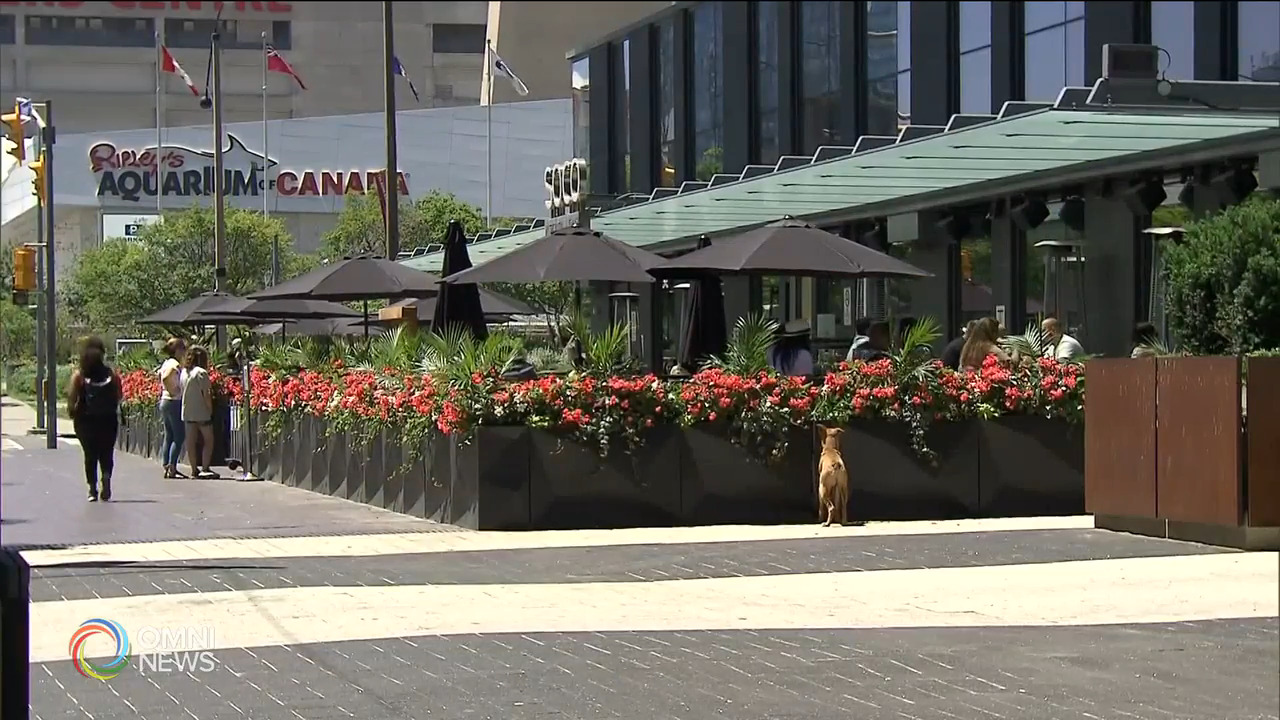 華裔省民普通歡迎提早重啟第2階段  -- Jun 23, 2021 (ON)