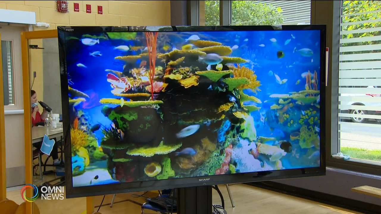 特别疫苗诊所服務打针恐惧症民众 － Jul 19, 2021