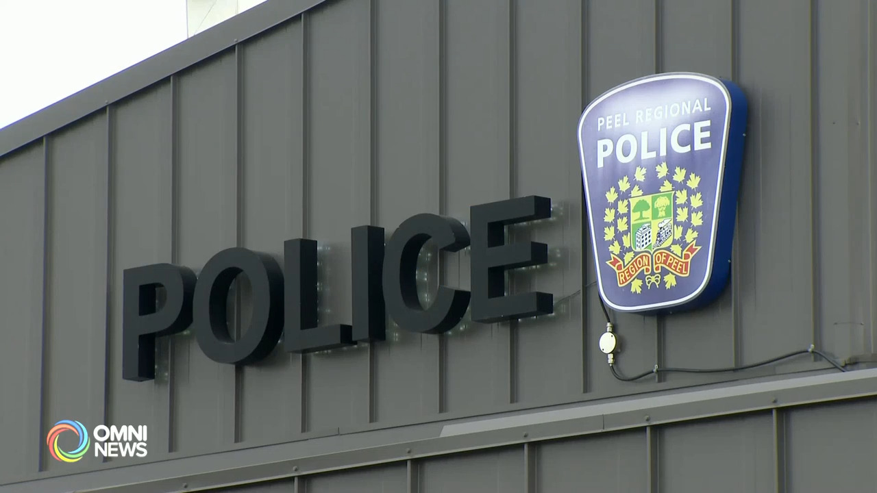 皮尔区警方破获华人操控的卖淫集团