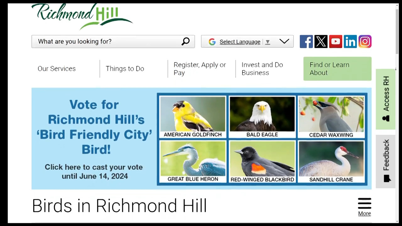 烈治文山市居民投票選出代表該市的雀鳥