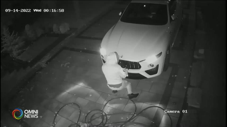 Dumadami ang insidente ng car theft sa Ontario