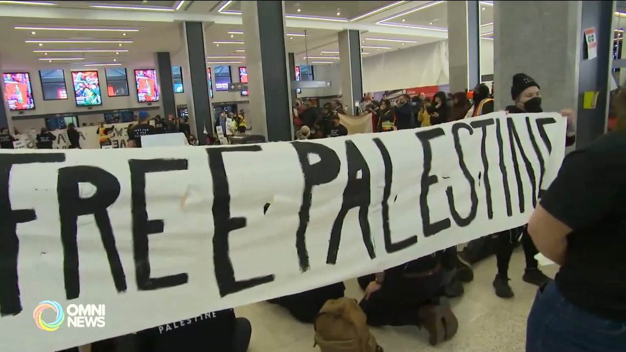 本地犹太人组织声援巴勒斯坦