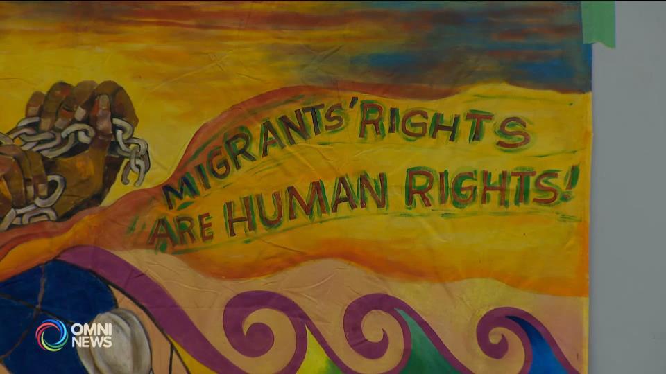 Buhay sa Canada ng mga international students, malayo sa reyalidad na ipininta sa Pilpinas