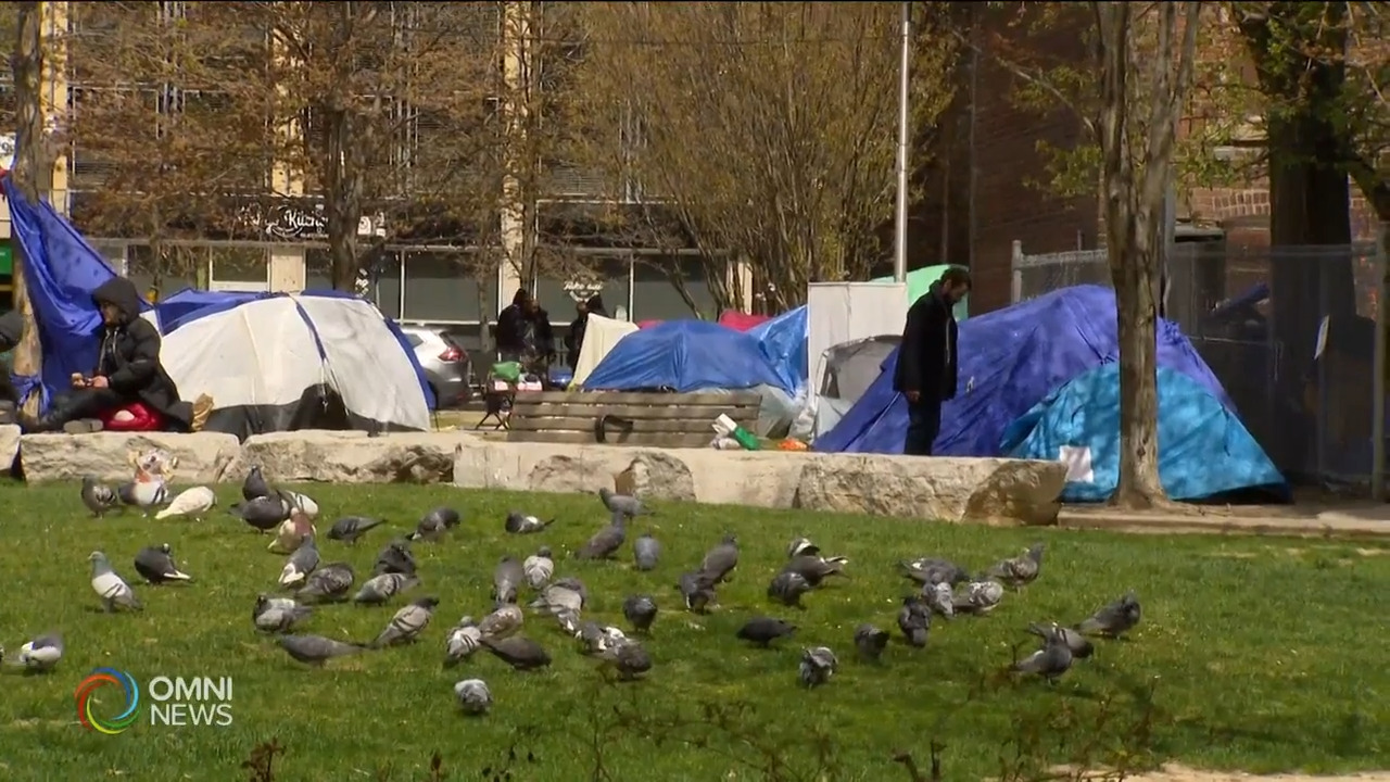 约克区露宿者人口将大幅增长－ Aug 03, 2021 (ON)