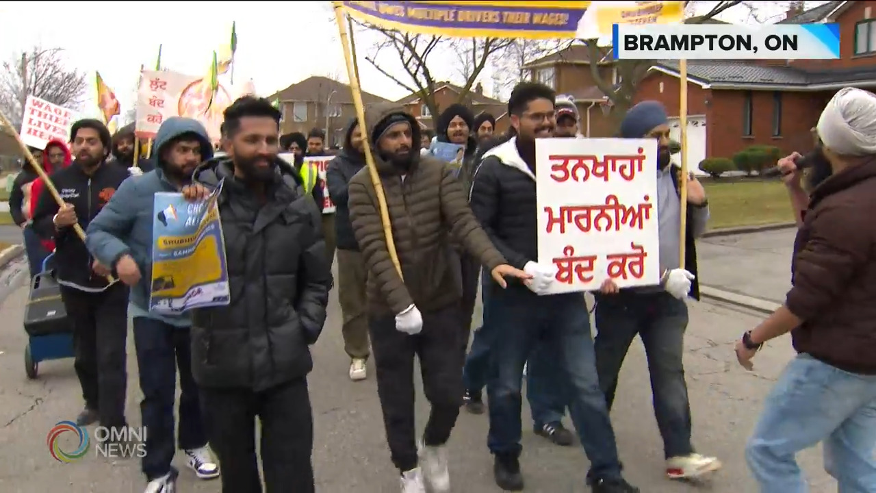 Workers protest in Brampton against alleged wage theft