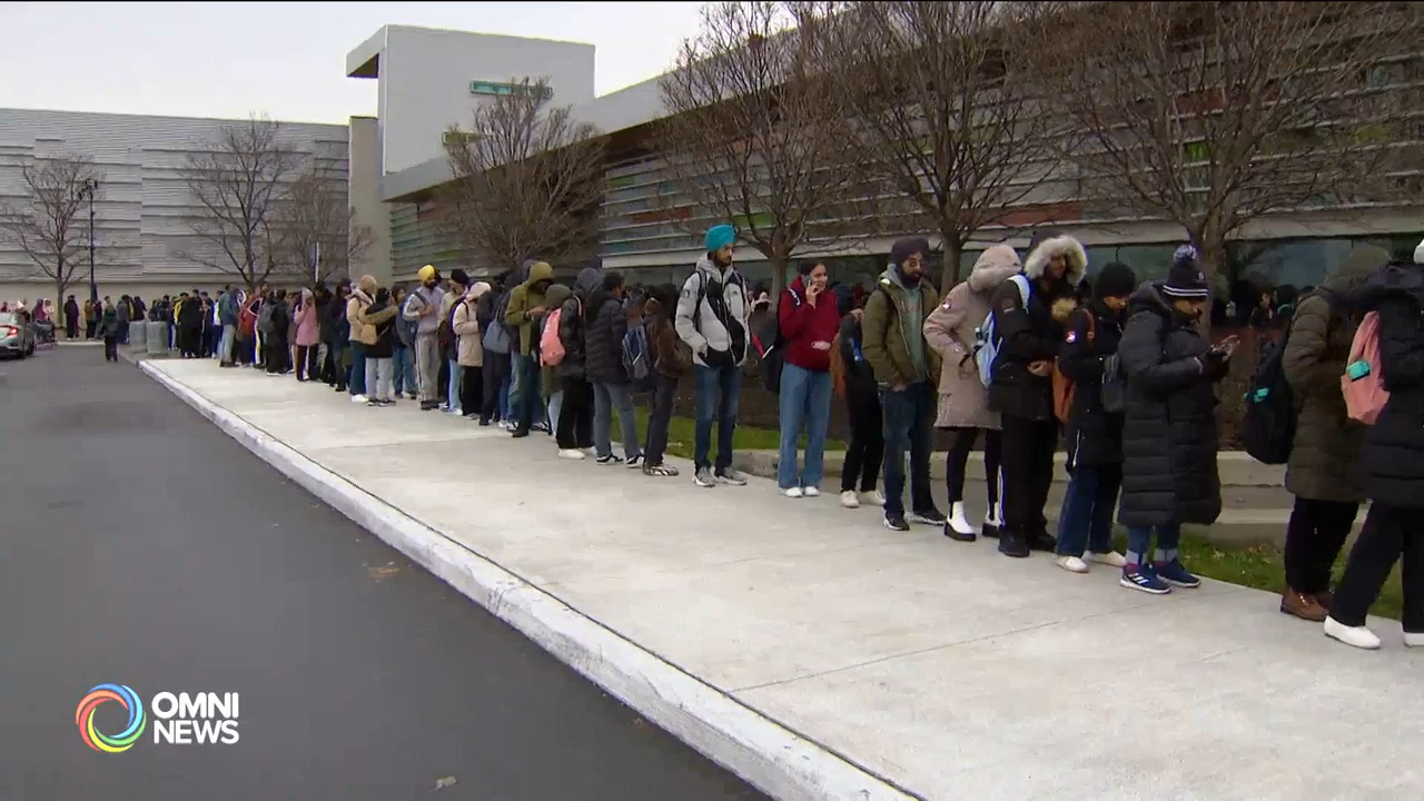 Thousands of unemployed international students attend job fair in Brampton
