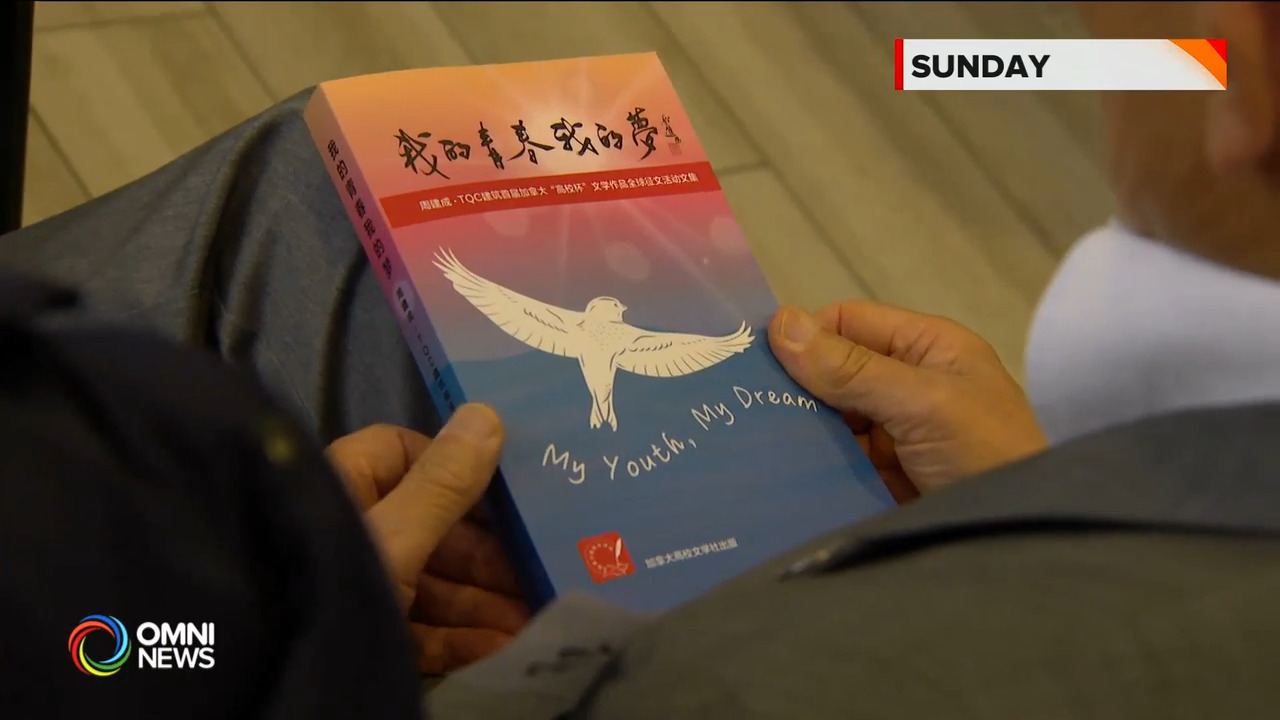 《我的青春我的梦》文学作品集新书发布会