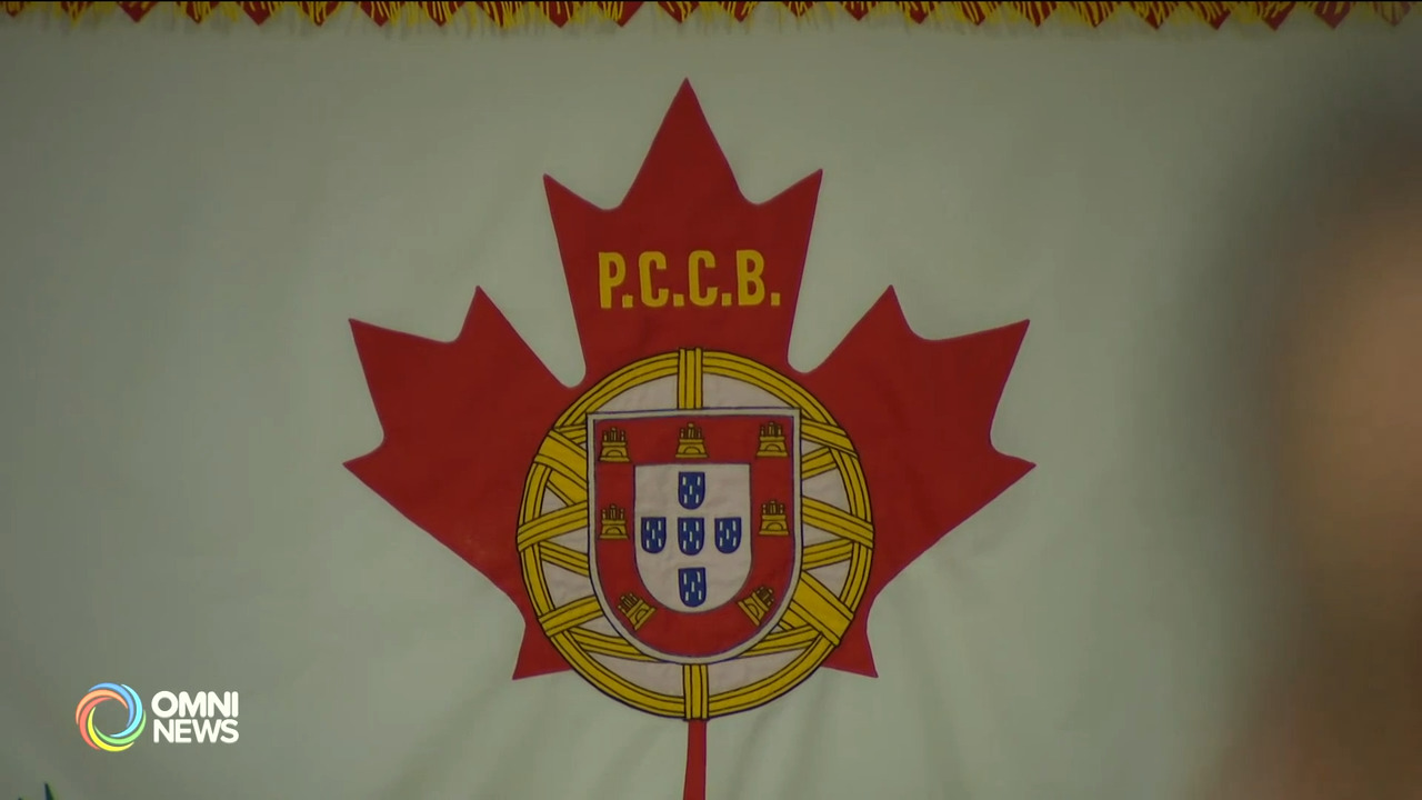 Paulo Perdiz on Portuguese Cultural Centre of Bradford