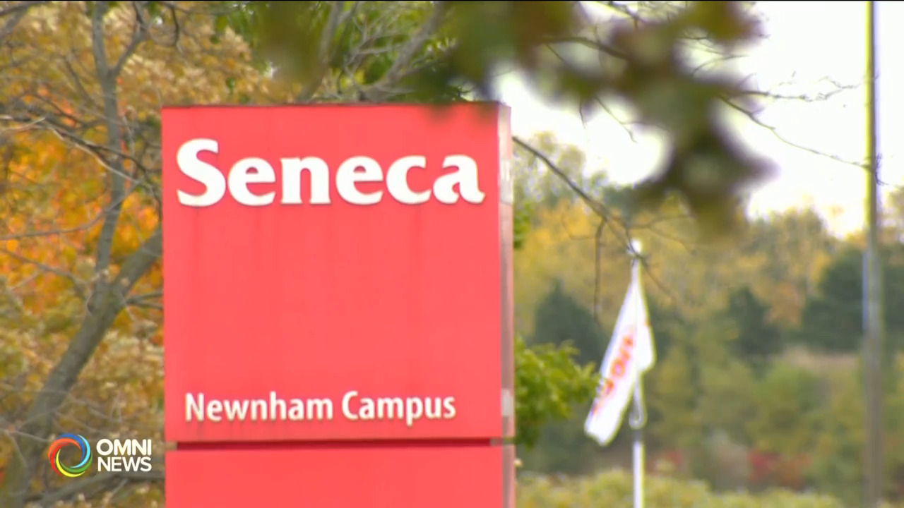 辛力加學院取消新冠疫苗強制措施 (ON)