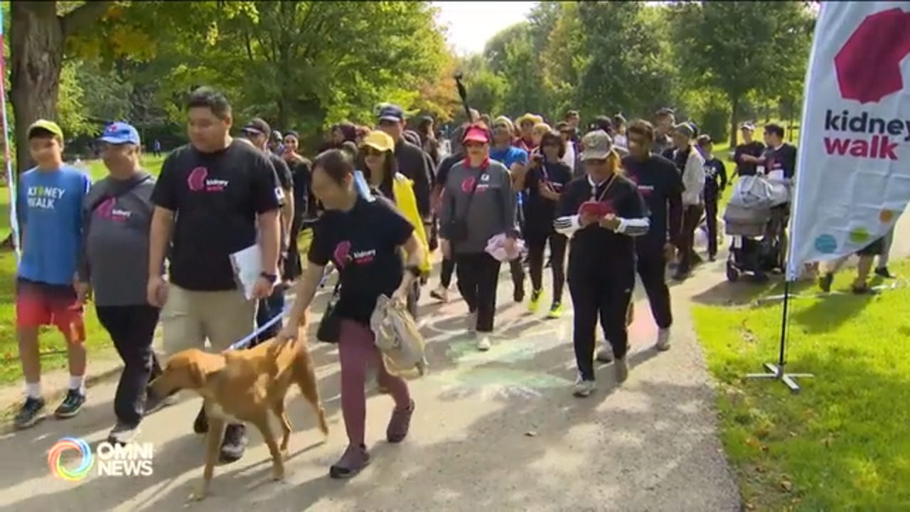 加拿大肾脏基金会关爱肾脏步行筹款活动