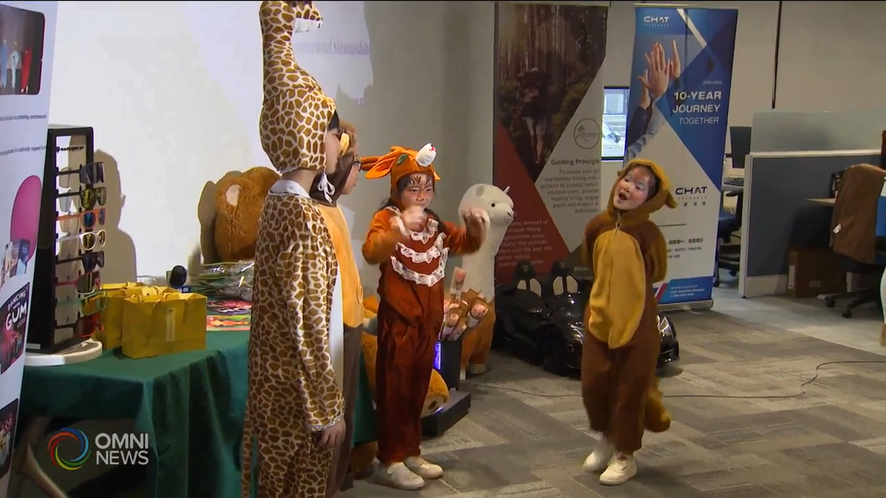 青少年自然探索与环境守护计划