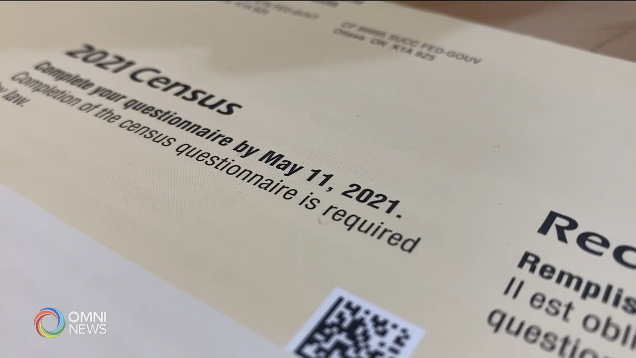 Punjabi Language in Census 2021