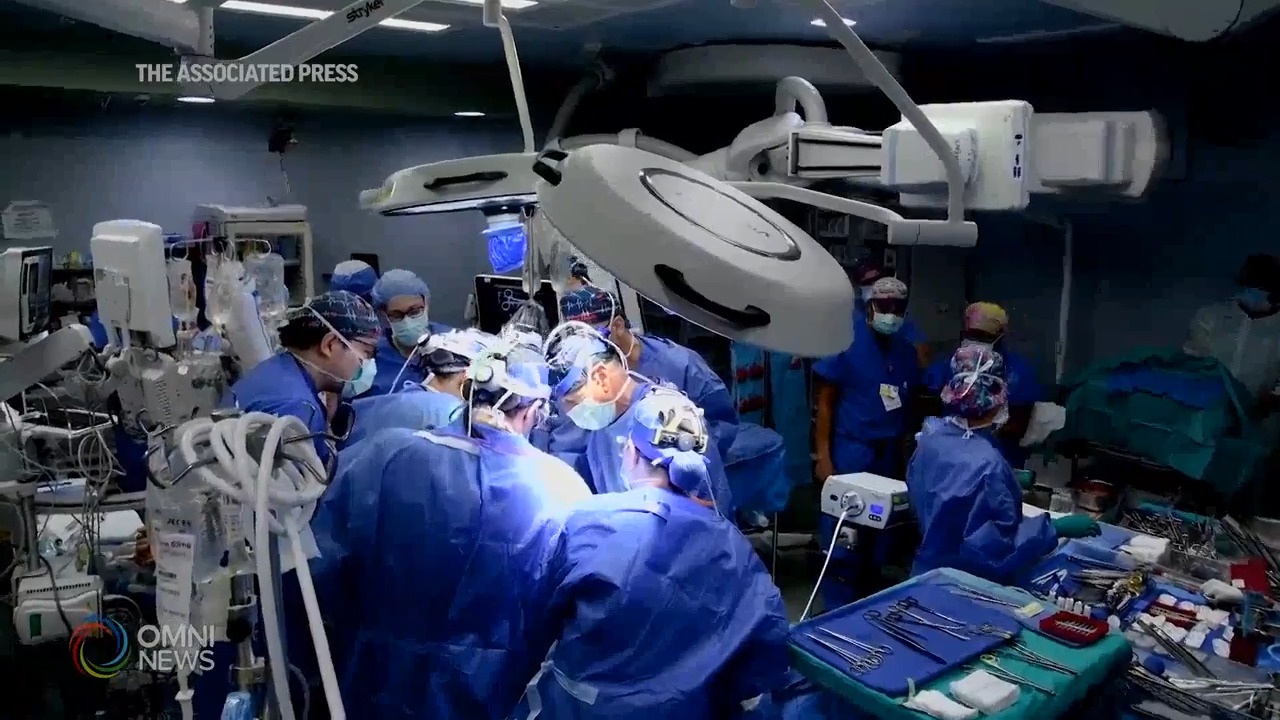 Trapianti di organi in Quebec