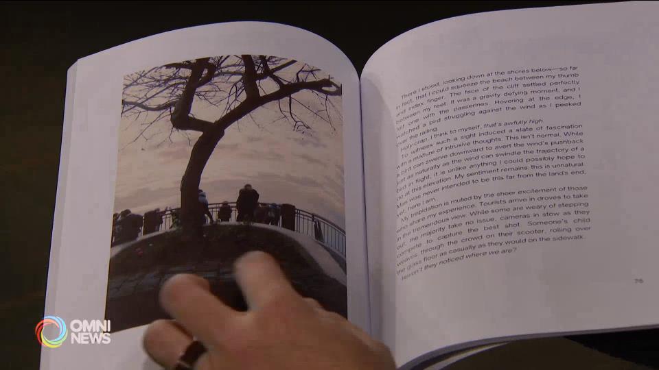 Devin Meireles' New Book