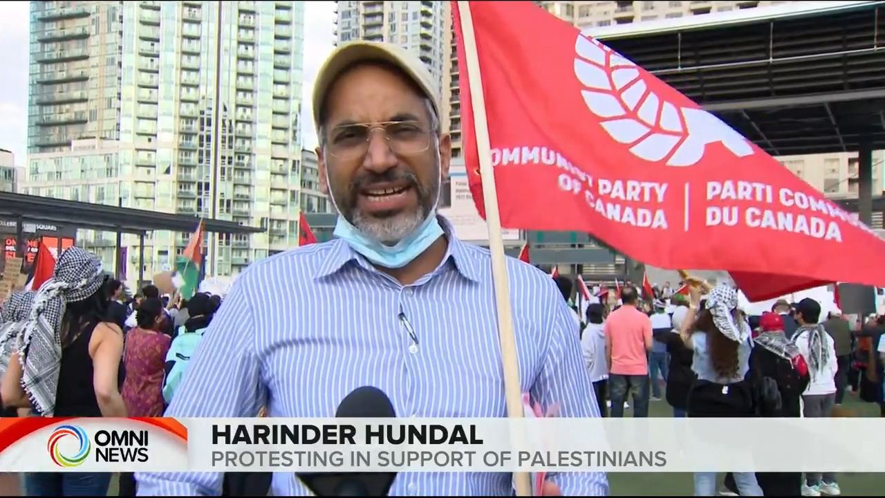 Large crowds rally for Palestine in Mississauga