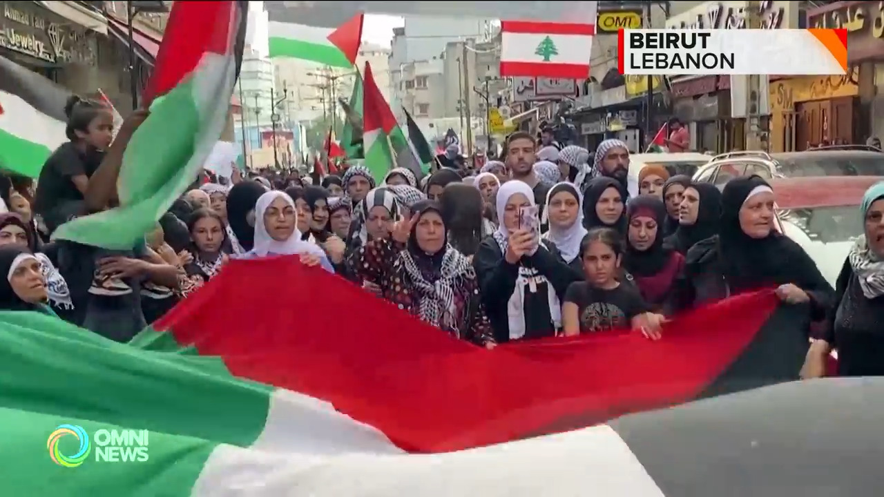 مظاهرات تعم العالم مناصرة للشعب الفلسطيني