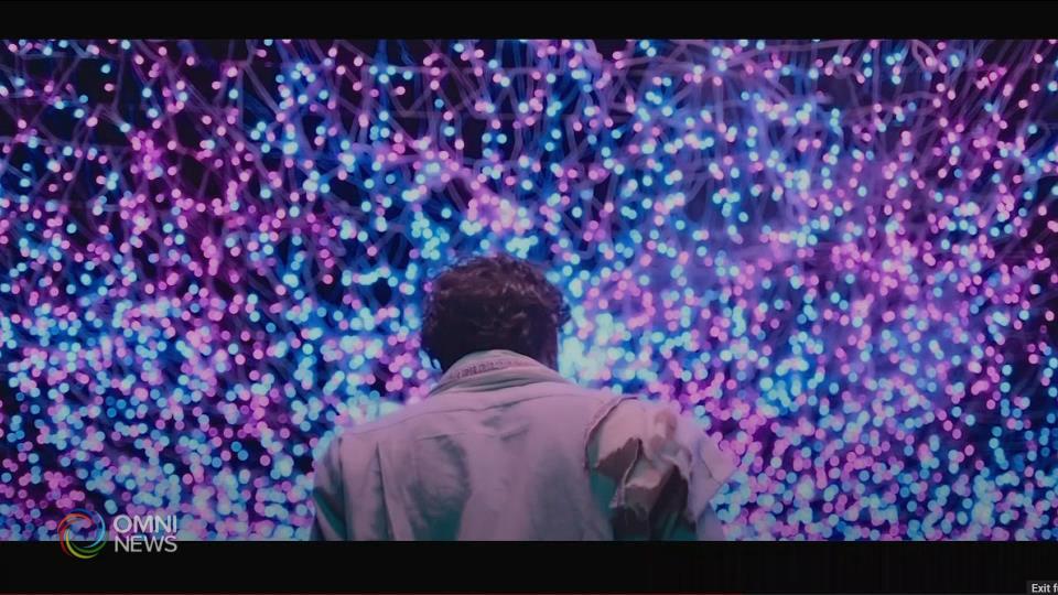 TIFF 2021- Diversity and representation