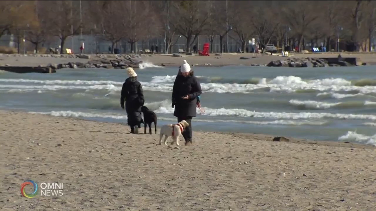 明天星期六 春天正式來臨 -- Mar 19, 2021 (ON)