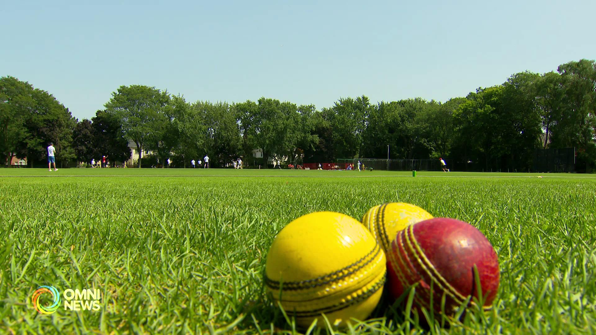 Autism Ontario celebrates annual cricket match to raise money for a good cause