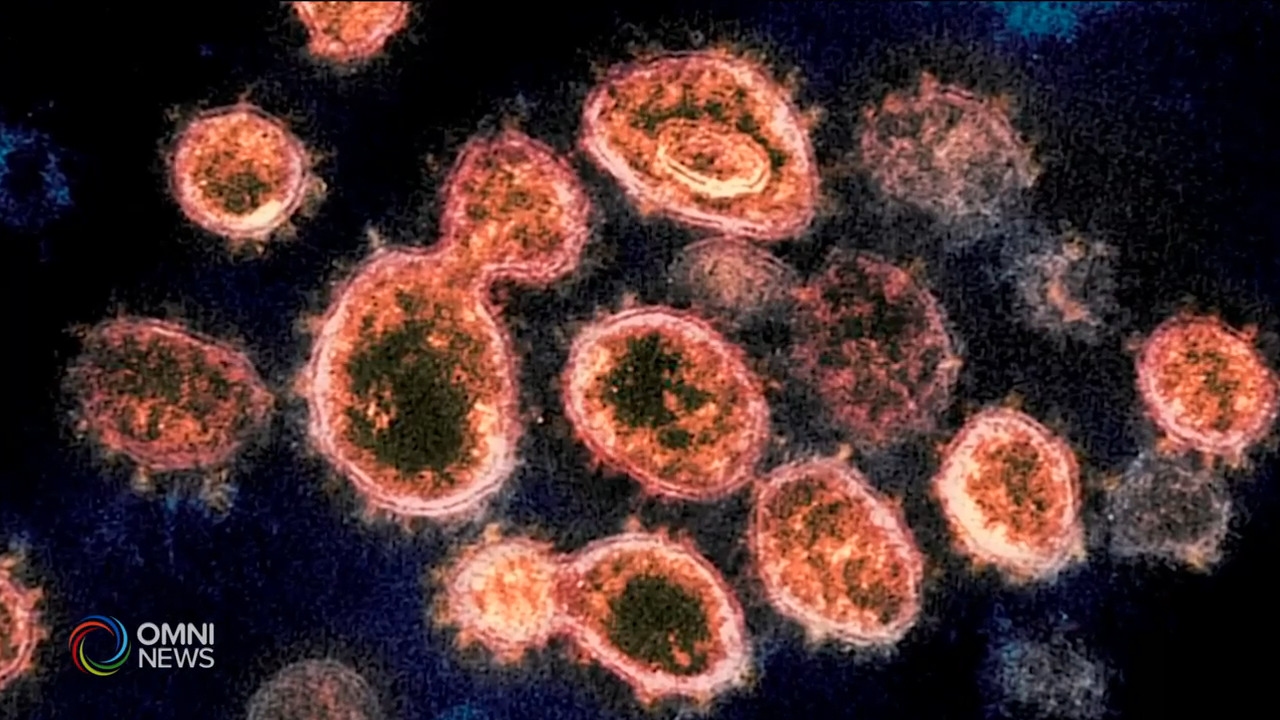 第四波疫情將無可避免 -- Aug 03, 2021 (ON)