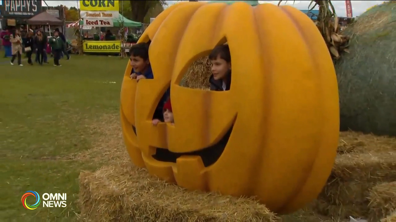 多倫多本週末多項活動可參與(ON)