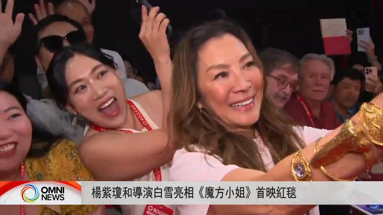 杨紫琼亮相多伦多电影节《魔方小姐》首映