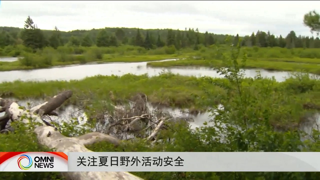 关注夏日野外活动安全