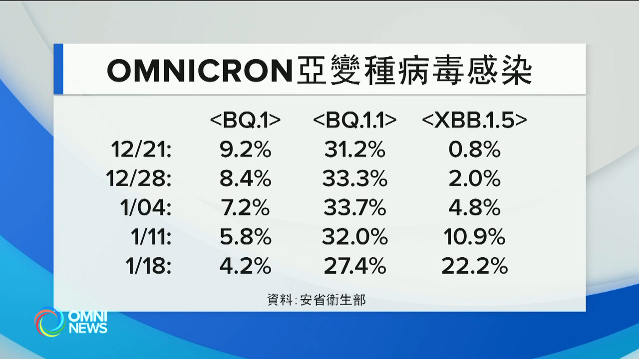 超強新冠病毒XBB於安省快速傳播