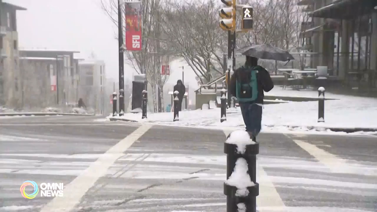 大多地区周末将迎来暴风雪