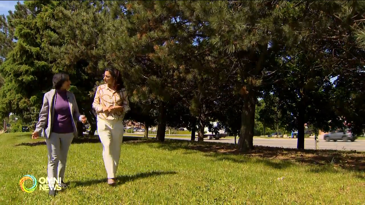 Mental health challenges among new immigrants