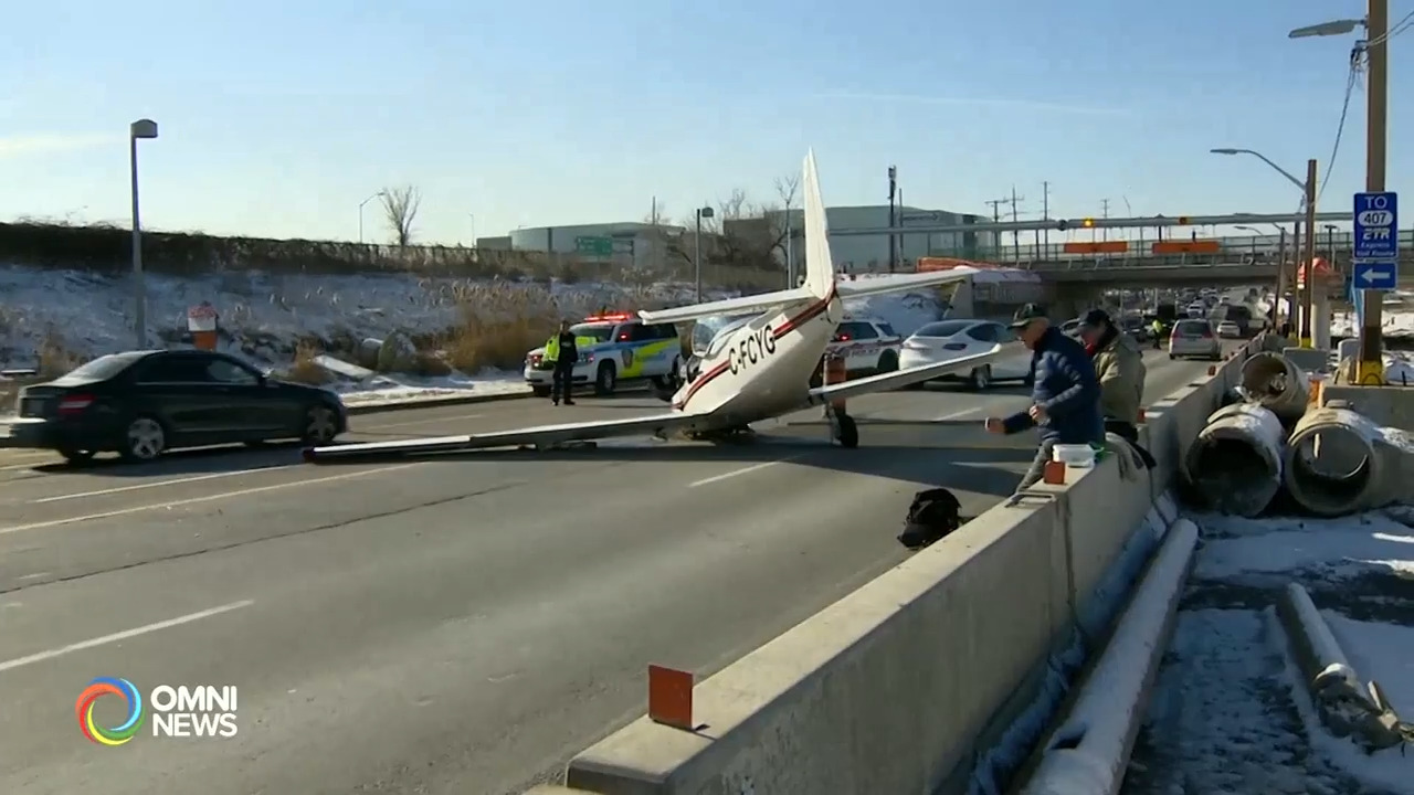 小飞机紧急迫降万锦市16街