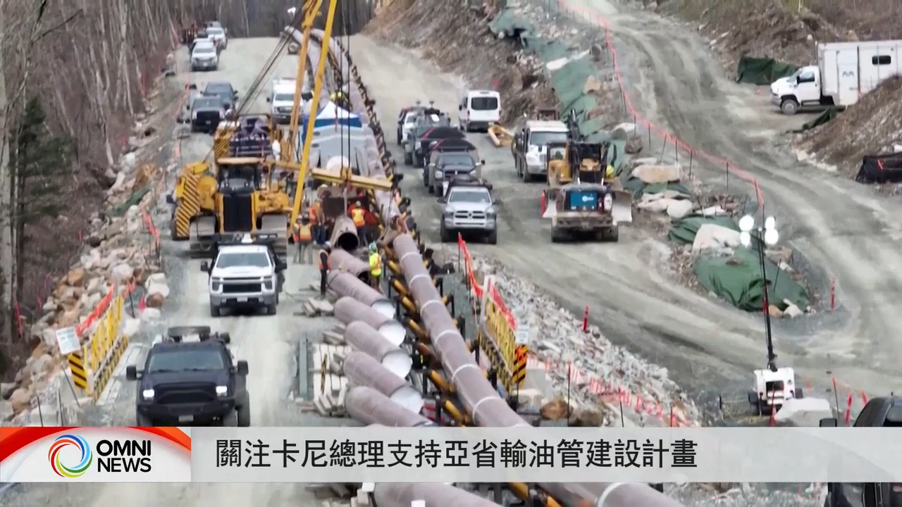 關注卡尼總理支持亞省輸油管建設計畫