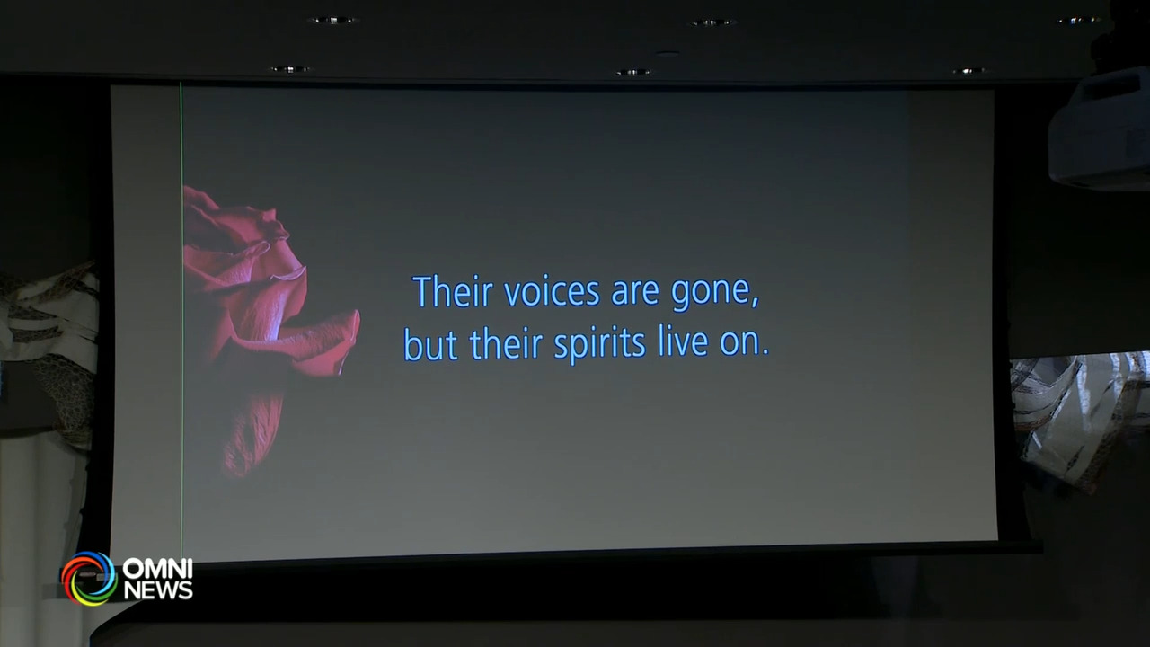 蒙特利尔理工学院大屠杀33周年，全国反针对女性的暴力