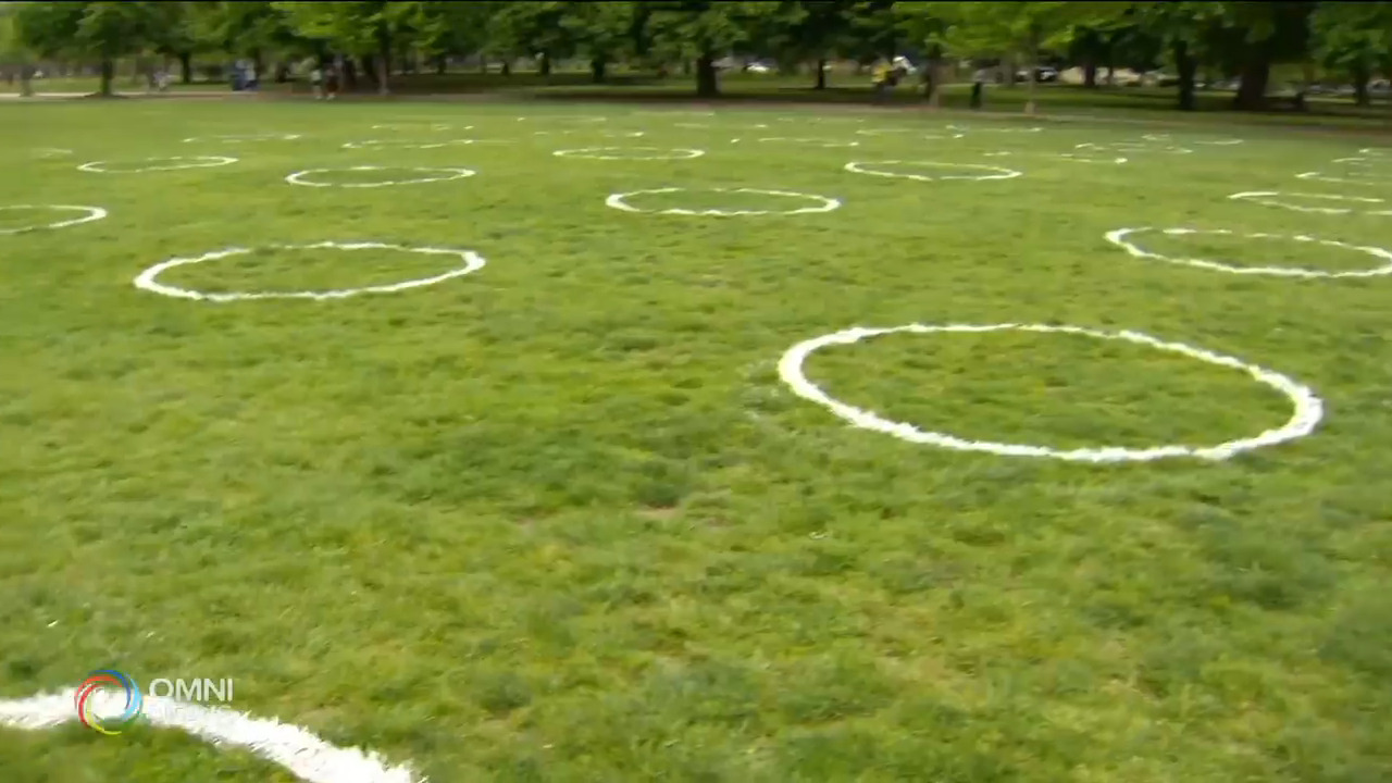 多市一公園草地將再畫上社交圓圈