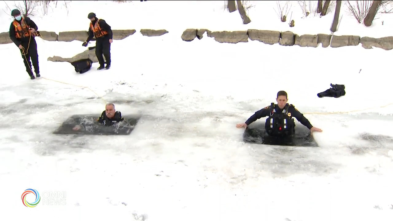 海明頓市警隊極地跳水籌善款 -- Feb 19, 2021 (ON)