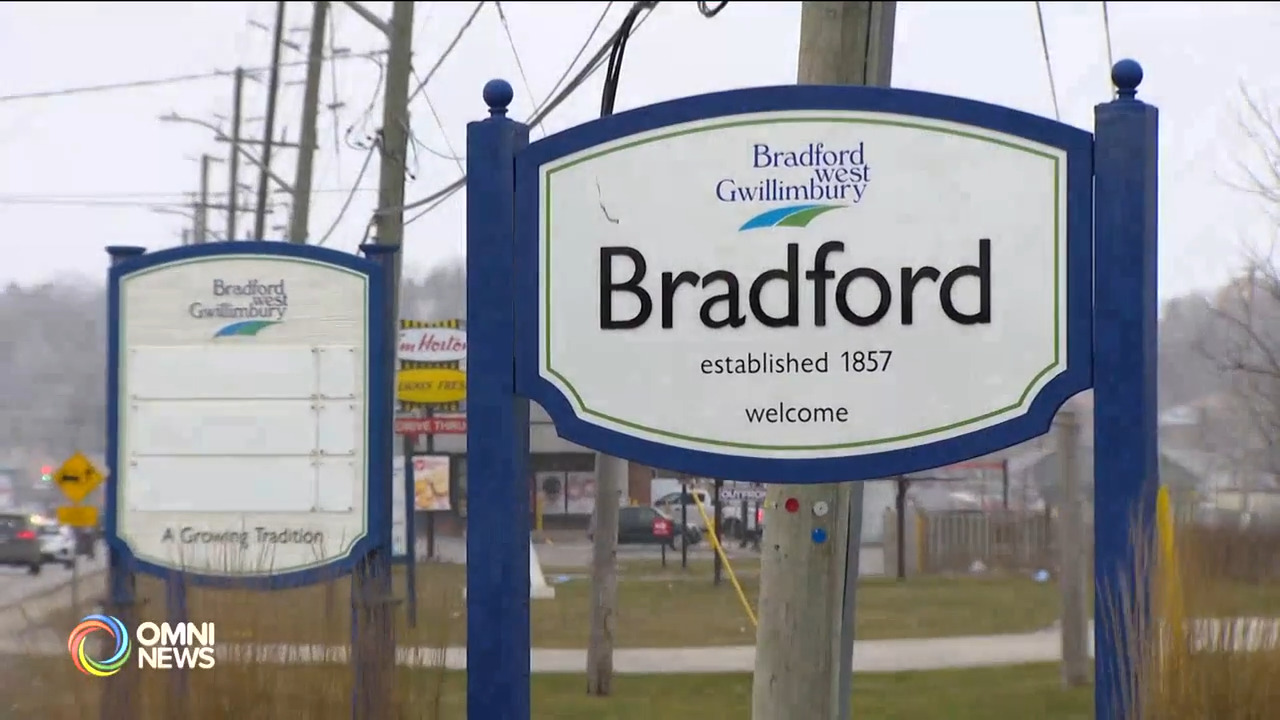 Importance of Bradford Portuguese Community