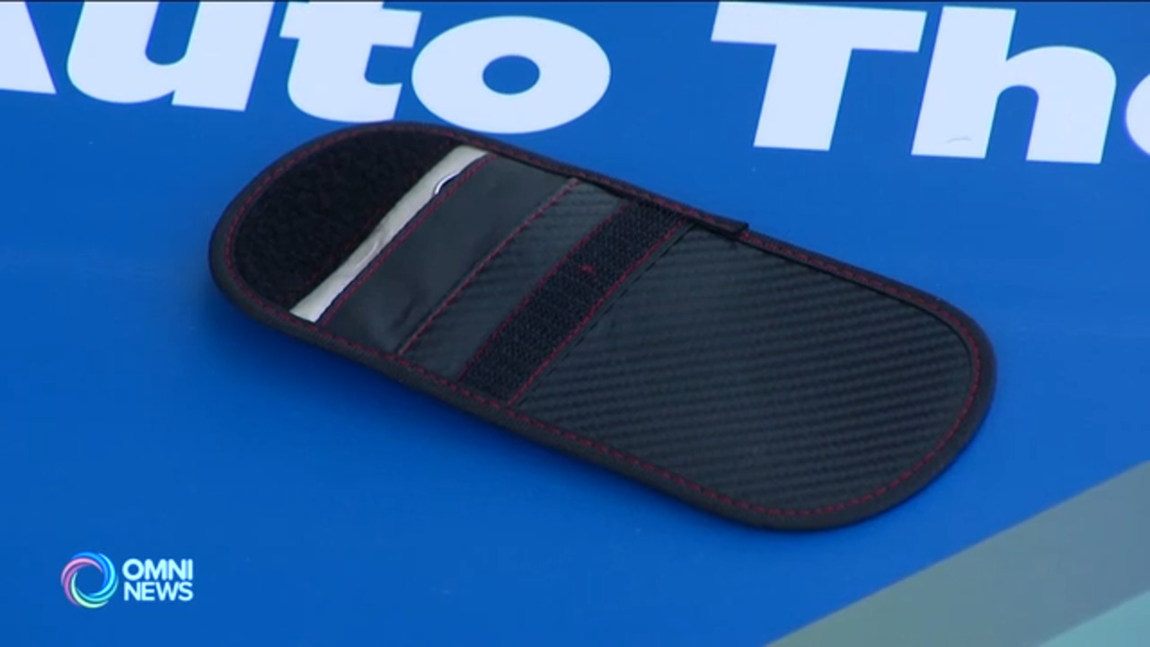 旺市政府发放遥控车匙防盗包, 防範汽车被窃