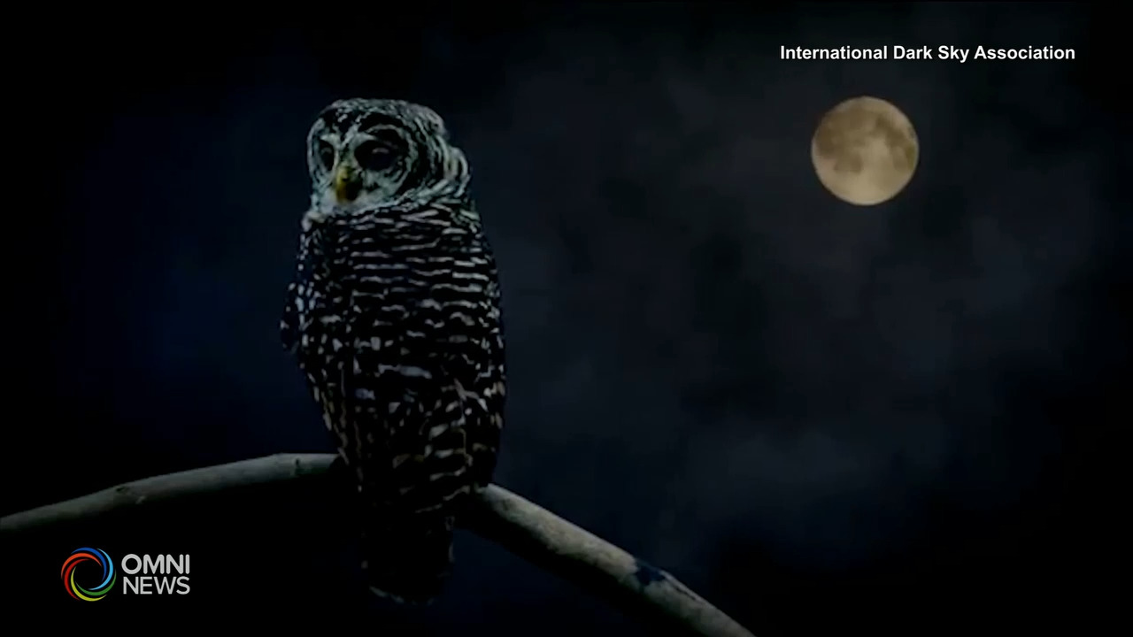 Quetico省立公园被国际认证为暗空公园 － Mar 04, 2021