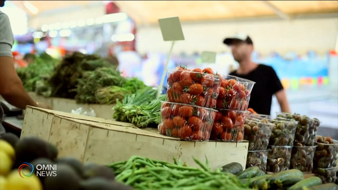 Canada's National Farmers Union reacts to India's farm bills