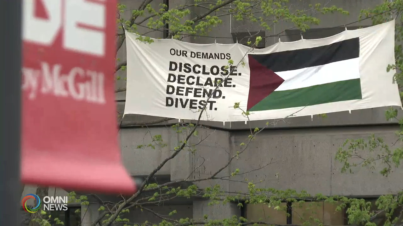 McGill, un'attivista italiana ebrea per la Palestina